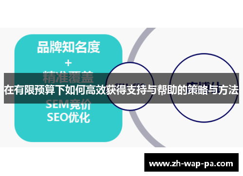 在有限预算下如何高效获得支持与帮助的策略与方法