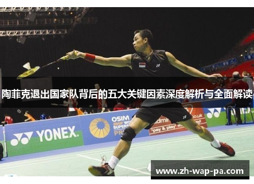 陶菲克退出国家队背后的五大关键因素深度解析与全面解读
