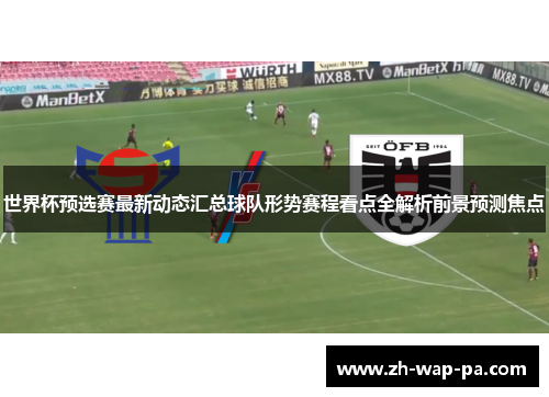 世界杯预选赛最新动态汇总球队形势赛程看点全解析前景预测焦点
