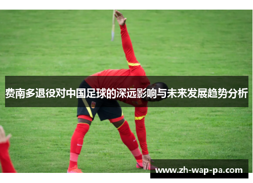 费南多退役对中国足球的深远影响与未来发展趋势分析 费南多退役对中国足球的深远影响与未来发展趋势分析